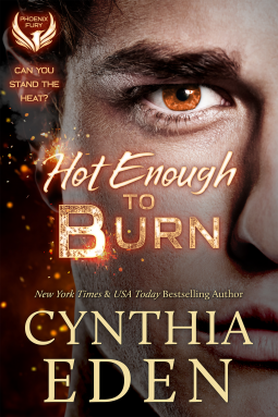 book cover for Hot Enough To Burn