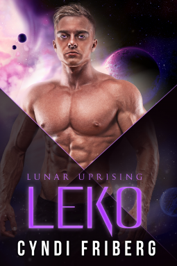book cover for Leko