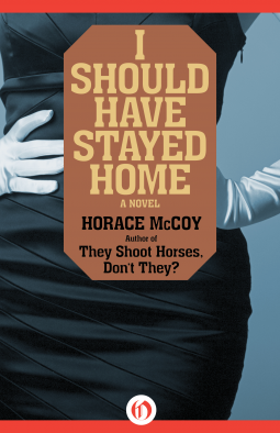 book cover for I Should Have Stayed Home