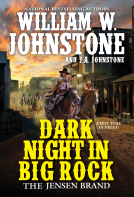 book cover for Dark Night in Big Rock