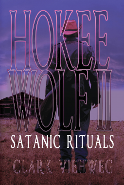 book cover for Hokee Wolf II