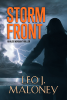 book cover for Storm Front
