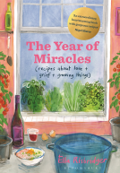 book cover for The Year of Miracles