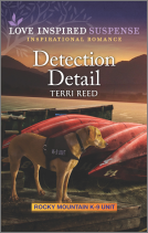 book cover for Detection Detail