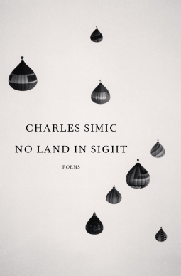 book cover for No Land in Sight