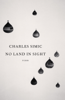 book cover for No Land in Sight