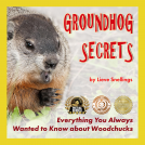 book cover for Groundhog Secrets