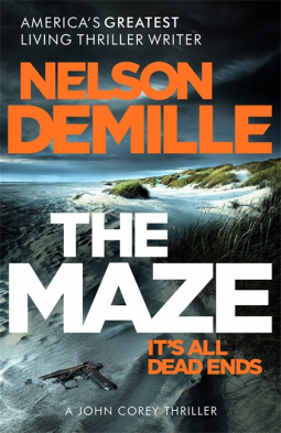 book cover for The Maze