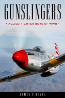 book cover for Gunslingers