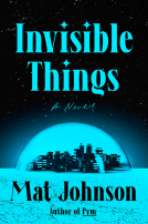 book cover for Invisible Things