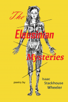 book cover for The Eleusinian Mysteries