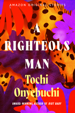 book cover for A Righteous Man