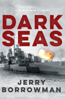 book cover for Dark Seas