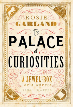 book cover for Palace of Curiosities
