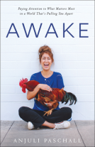 book cover for Awake
