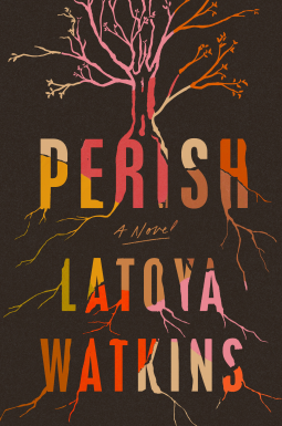 book cover for Perish