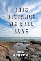 book cover for The Distance We Call Love