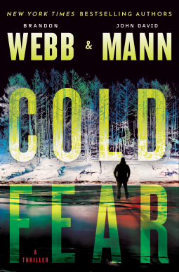 book cover for Cold Fear