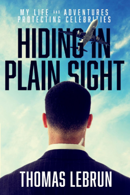 book cover for Hiding in Plain Sight