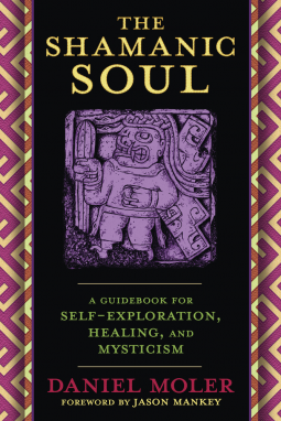 book cover for The Shamanic Soul