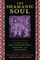 book cover for The Shamanic Soul