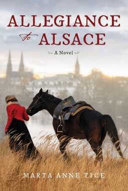 book cover for Allegiance to Alsace