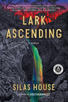 book cover for Lark Ascending
