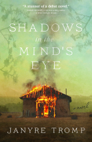book cover for Shadows in the Mind's Eye: A Novel