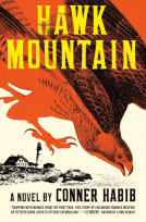 book cover for Hawk Mountain