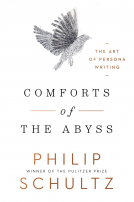 book cover for Comforts of the Abyss