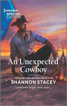book cover for An Unexpected Cowboy
