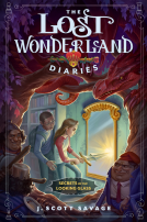 book cover for Secrets of the Looking Glass