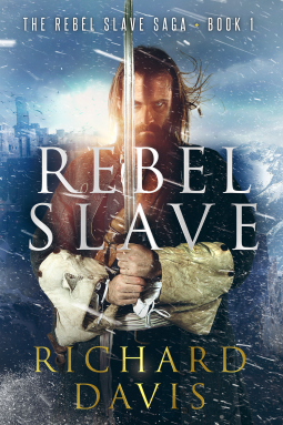 book cover for Rebel Slave