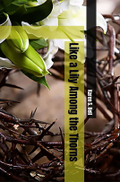 book cover for Like a Lily Among the Thorns
