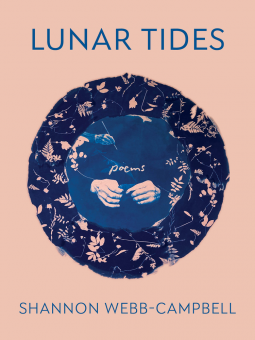 book cover for Lunar Tides