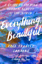 book cover for Everything, Beautiful