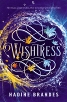 book cover for Wishtress