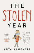 book cover for The Stolen Year