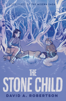 book cover for The Stone Child