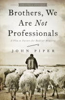 book cover for Brothers, We Are Not Professionals