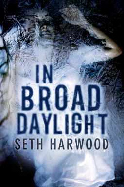 book cover for In Broad Daylight