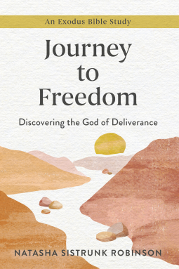 book cover for Journey to Freedom