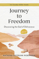book cover for Journey to Freedom