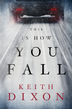 book cover for This Is How You Fall