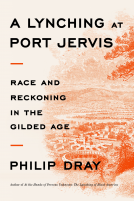 book cover for A Lynching at Port Jervis