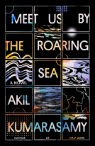 book cover for Meet Us by the Roaring Sea