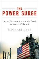 book cover for The Power Surge