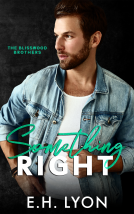 book cover for Something Right