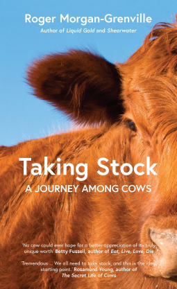 book cover for Taking Stock