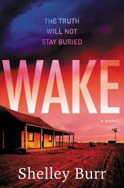 book cover for WAKE